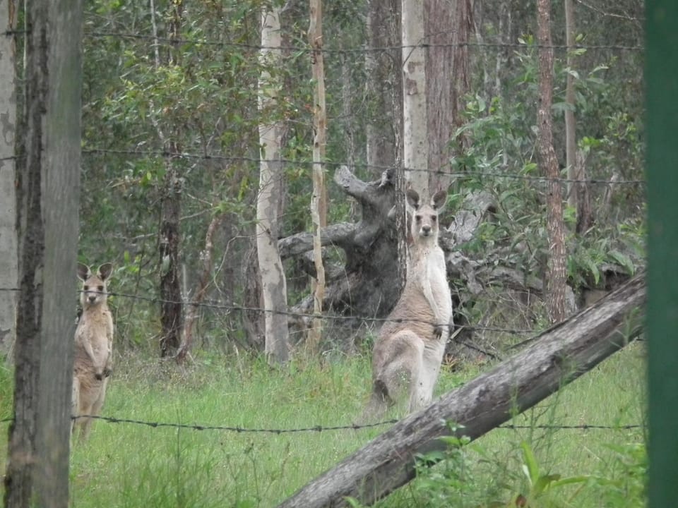 Back to the Bush Country House in Queensland