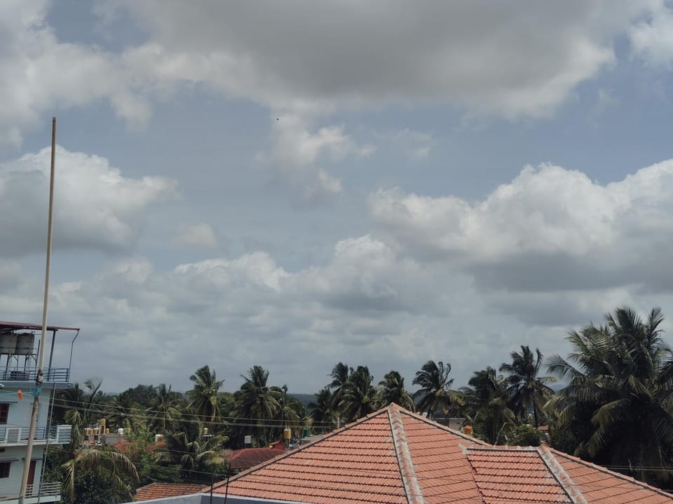 Natural landscape