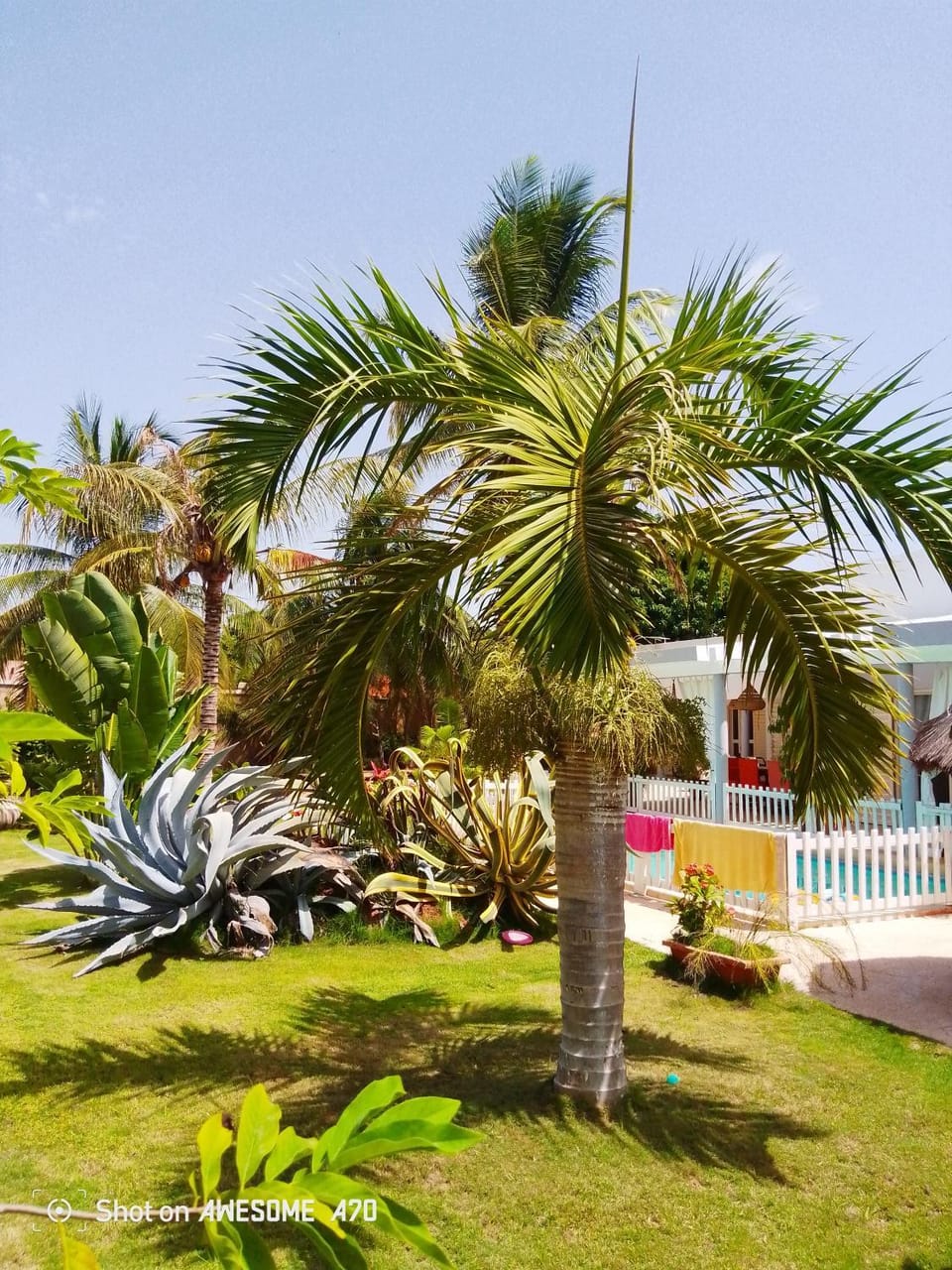 Garden view