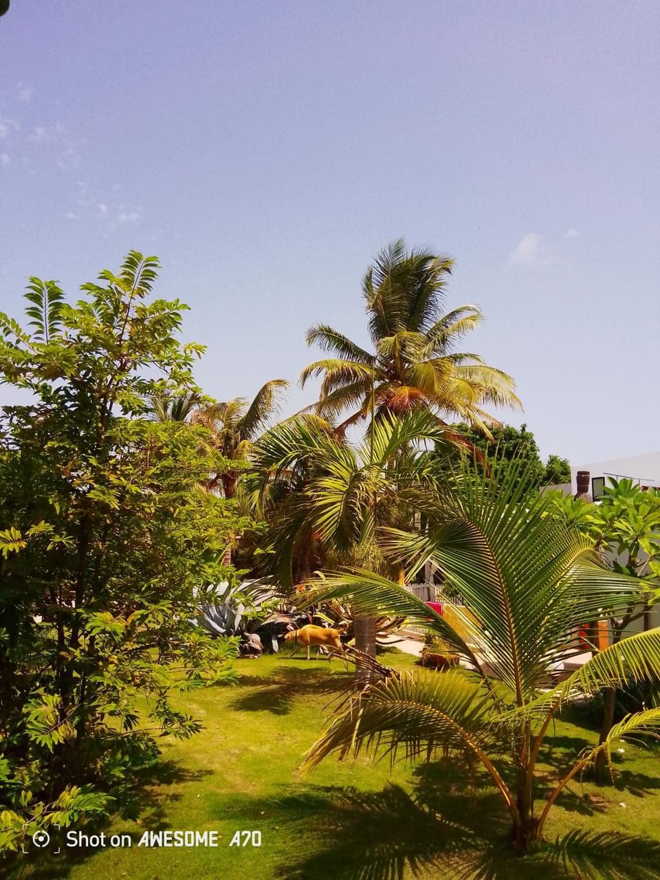 Garden view