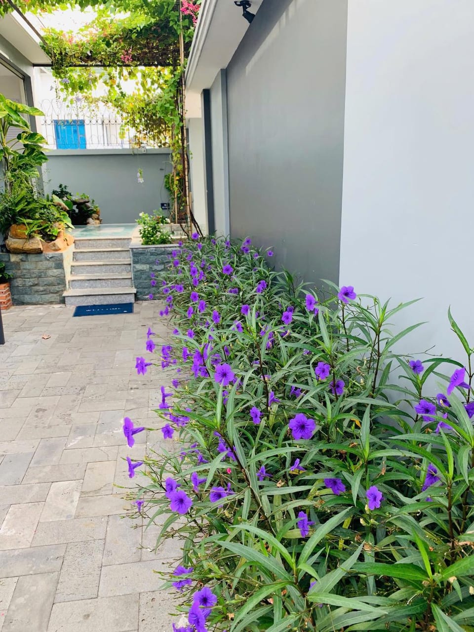 Ocean Pearl Villa Vũng Tàu Apartment in Vung Tau