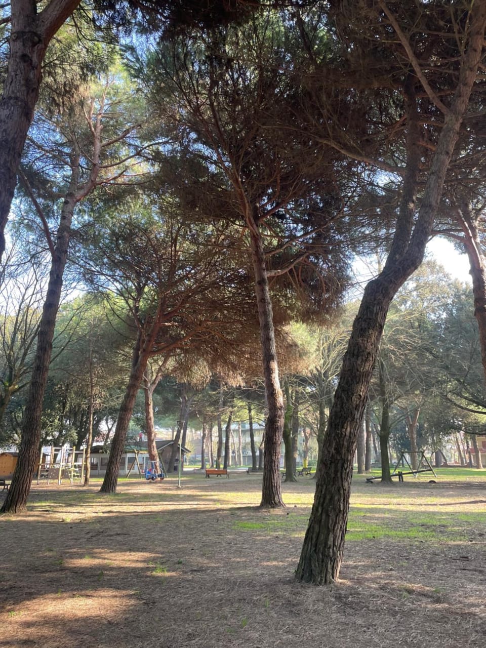 Pineta Mare Apartment in Cervia