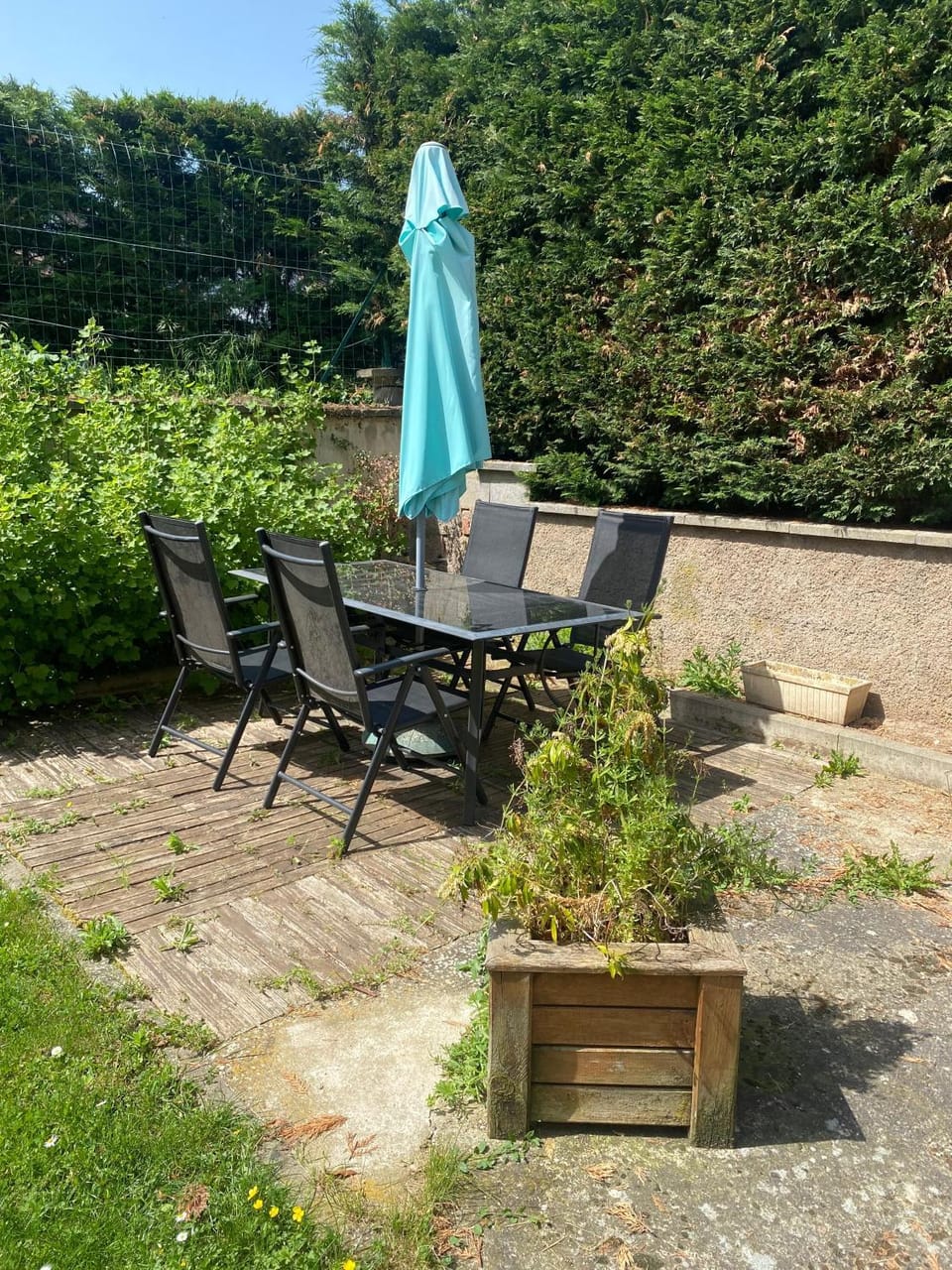 Patio, Garden