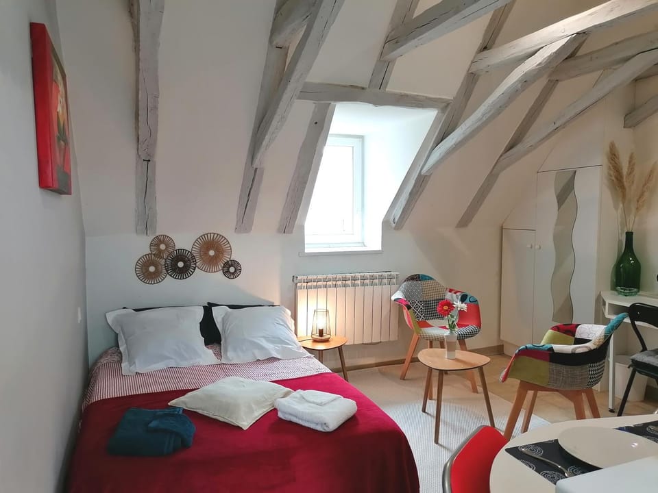 Petit studio traversant CENTRE HISTORIQUE Apartment in Occitanie