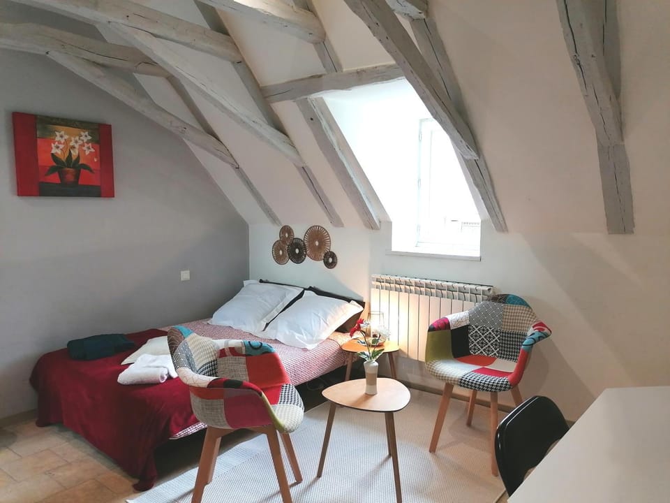 Petit studio traversant CENTRE HISTORIQUE Apartment in Occitanie