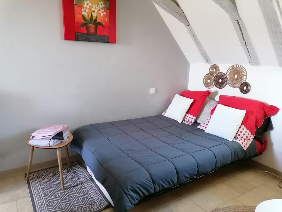 Petit studio traversant CENTRE HISTORIQUE Apartment in Occitanie