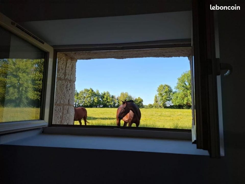 Gîte Le Perruchet House in Pays de la Loire