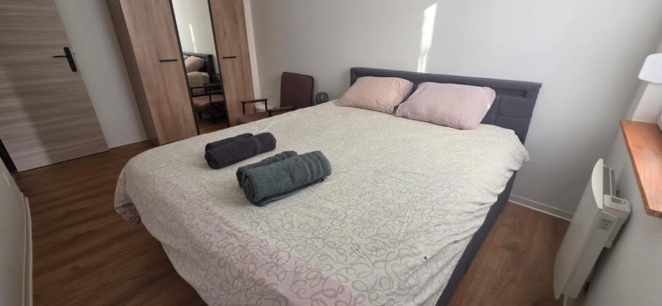 Logement calme avec jardin proche centre et gare Apartment in Colmar