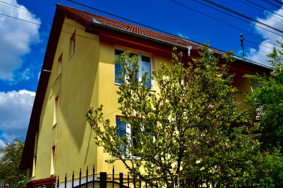 Property building, Day