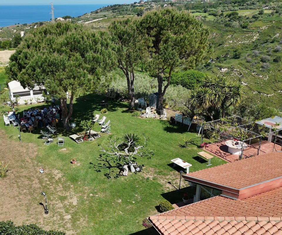 Bird's eye view, Garden, Garden view