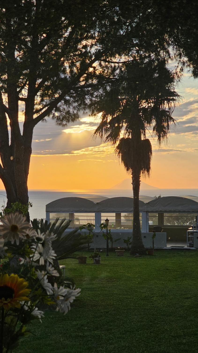 Garden, Sunset
