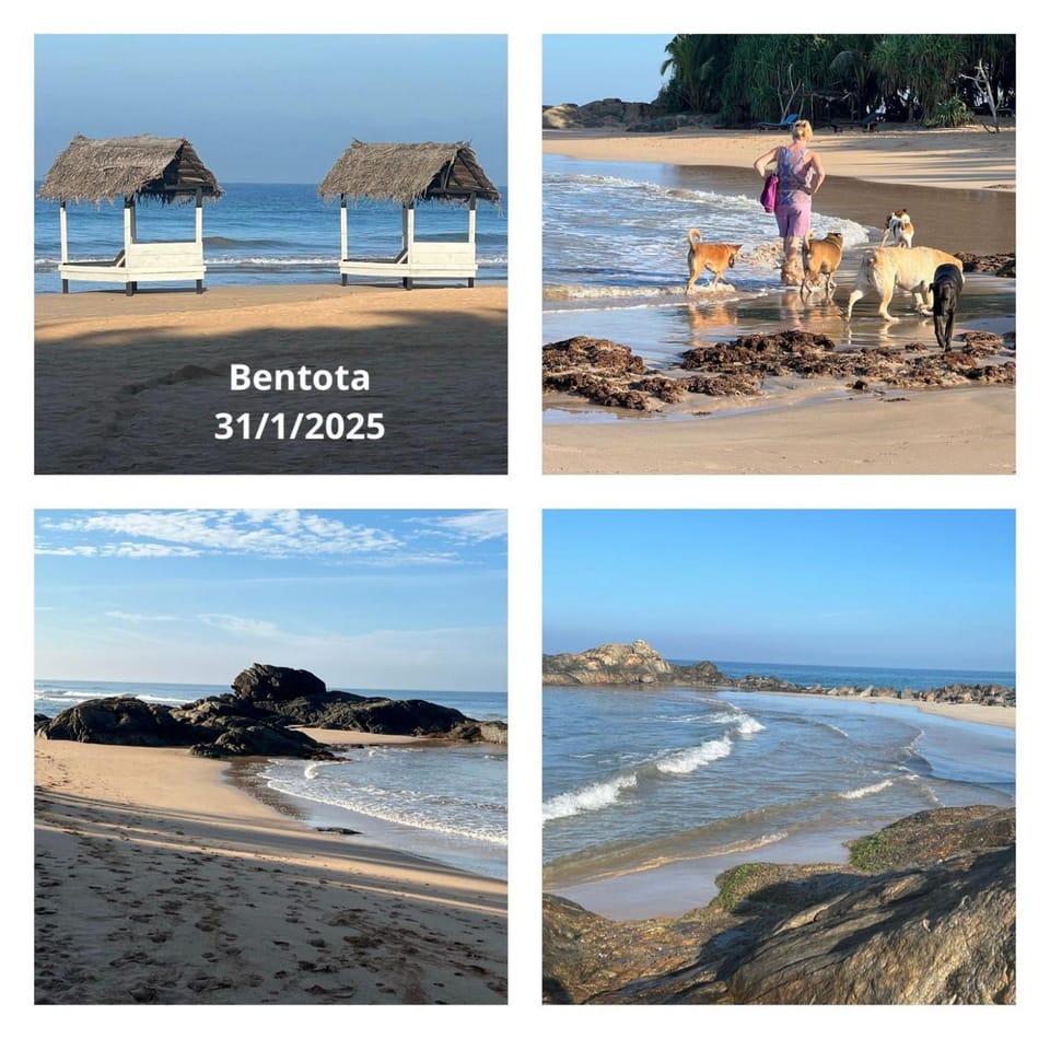 Osanda Guest Bed and Breakfast in Southern Province