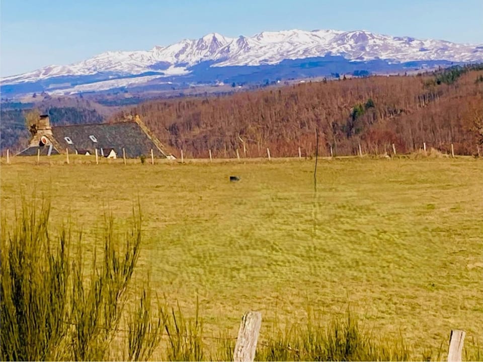 Mountain view