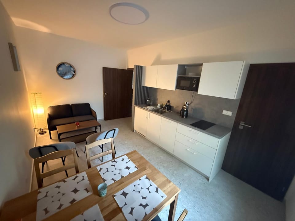 Kitchen or kitchenette, kitchen