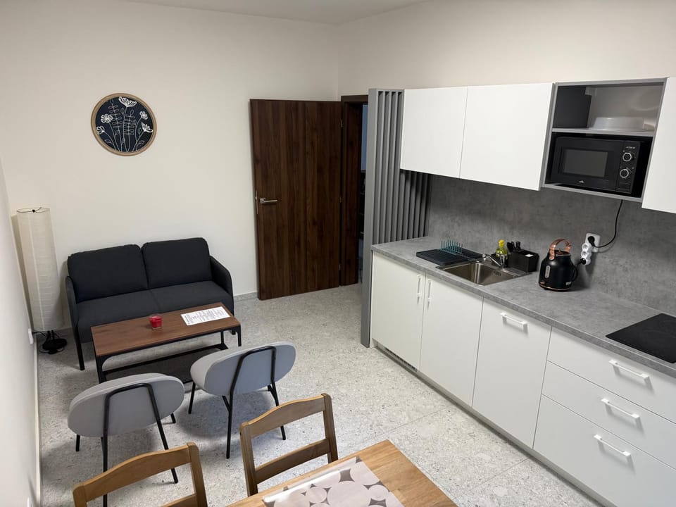 Kitchen or kitchenette, kitchen