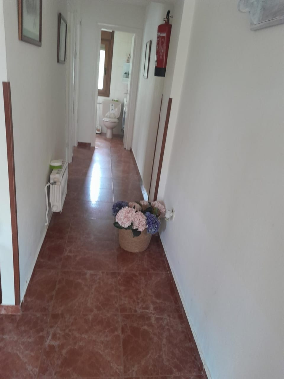 Apartamento Enzo Apartment in Asturias