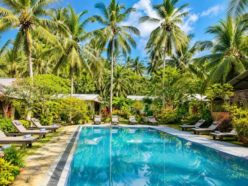 Natural landscape, Garden, Garden view, Swimming pool, sunbed
