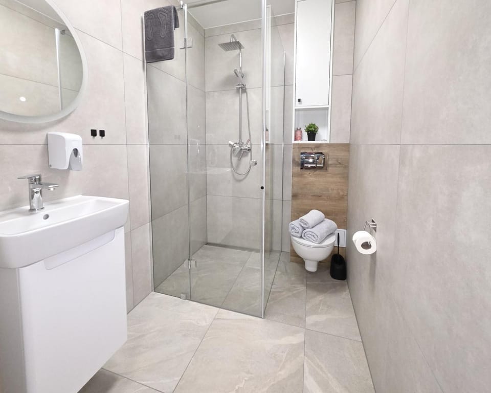 Shower, Toilet, Bathroom, hair dryier, towels