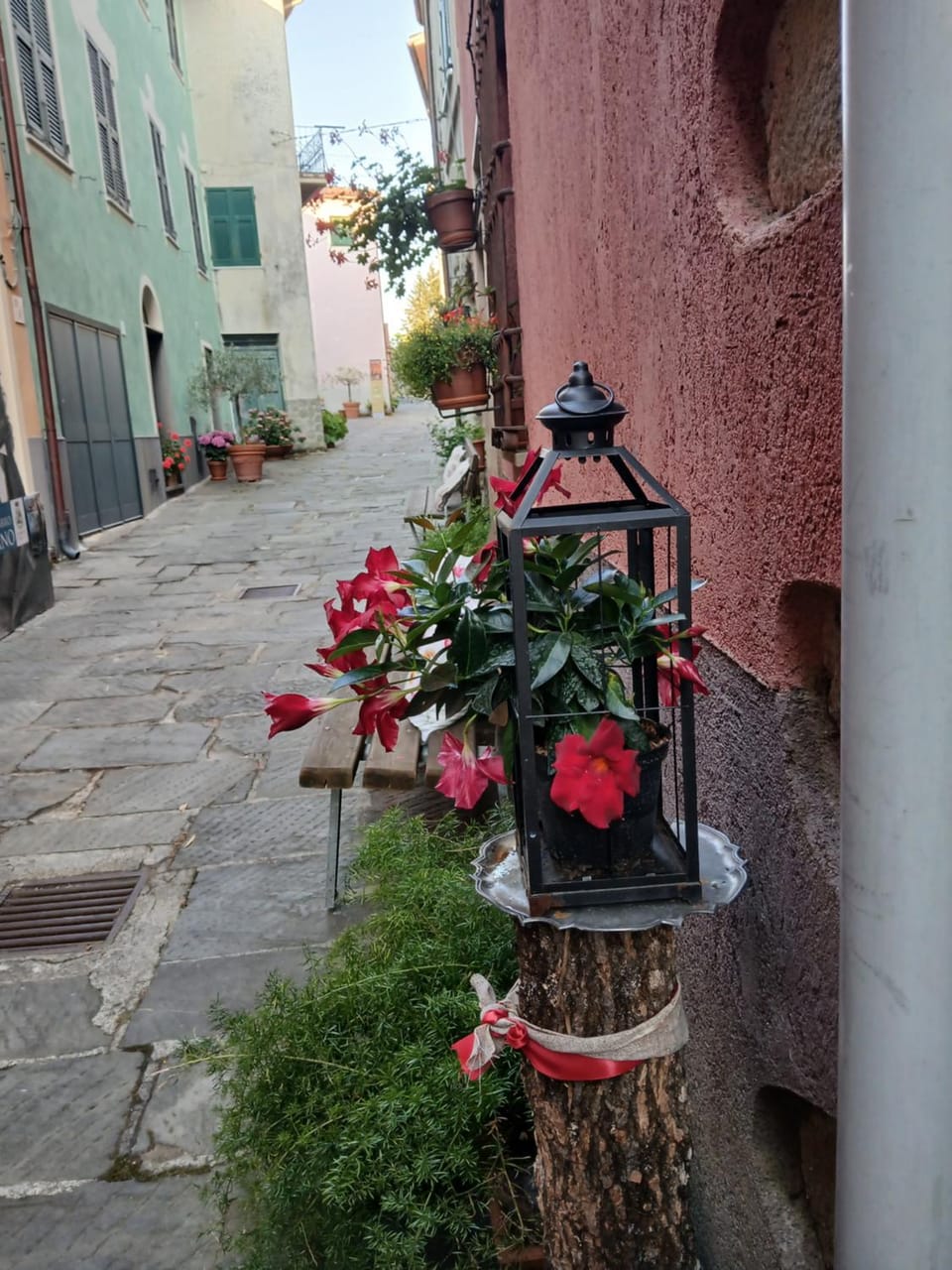 LA CASA di PIETRA a CARRO Apartment in Liguria