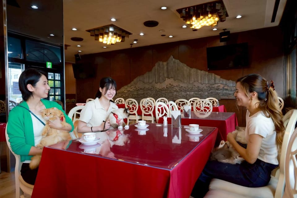 HOTEL Dane&Kerry DogResort Hotel in Japan