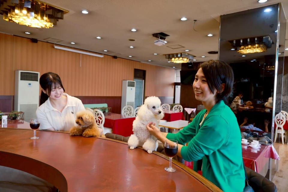 HOTEL Dane&Kerry DogResort Hotel in Japan