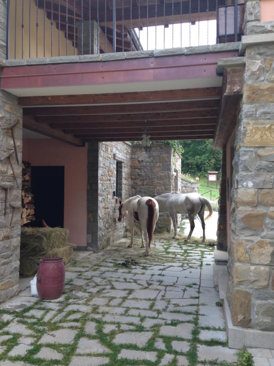 Patio, Balcony/Terrace, Animals