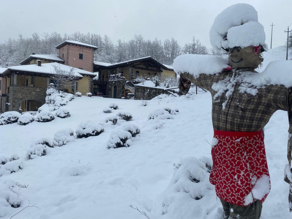 Winter