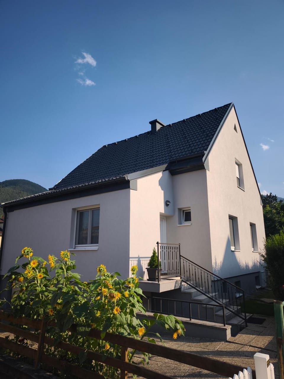 Property building, Day