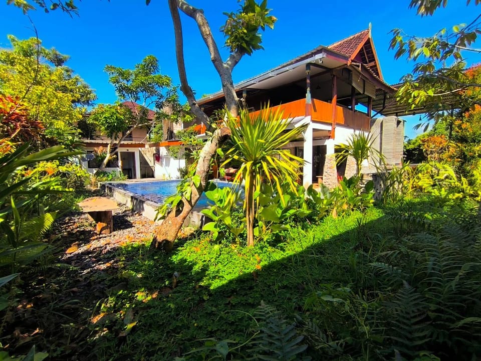 Garden, Swimming pool