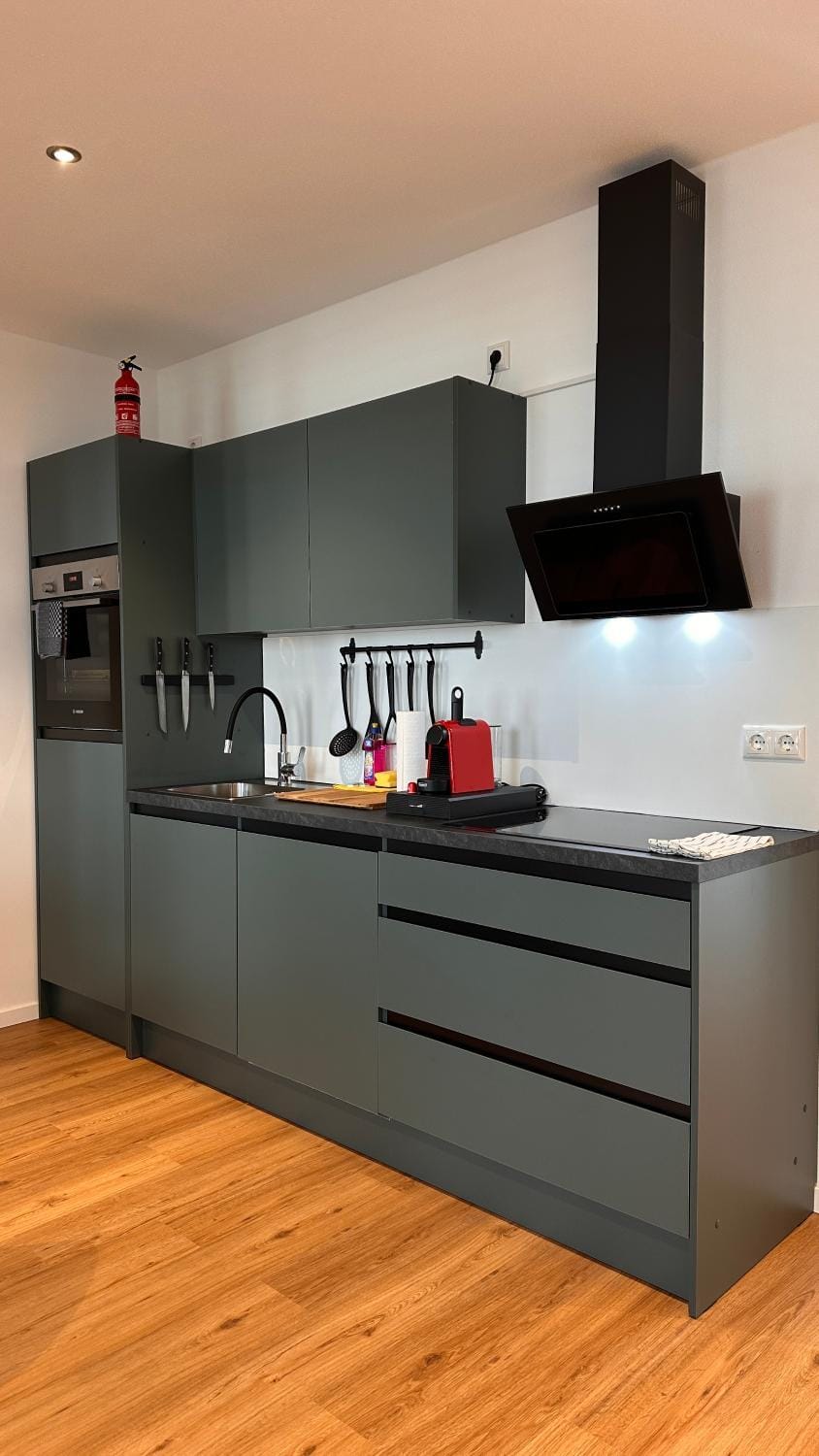 Kitchen or kitchenette, dishwasher, pet friendly, stove