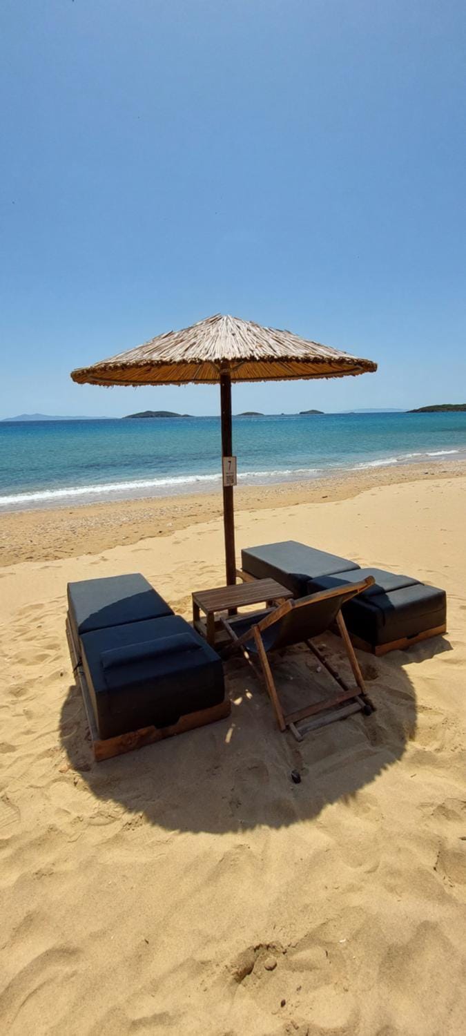 Beach, sunbed