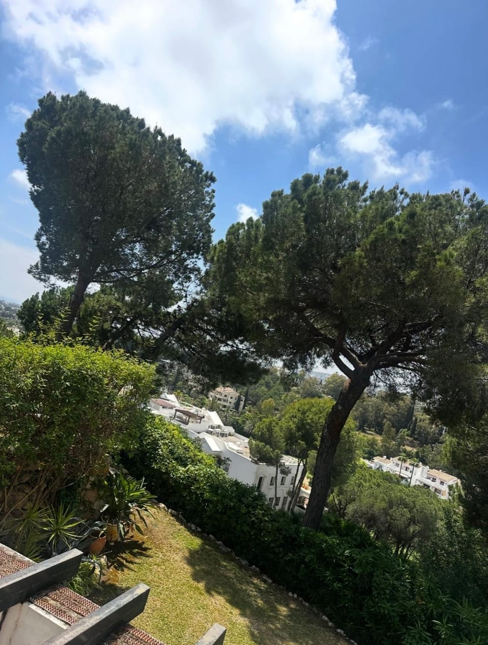 Natural landscape, Garden view