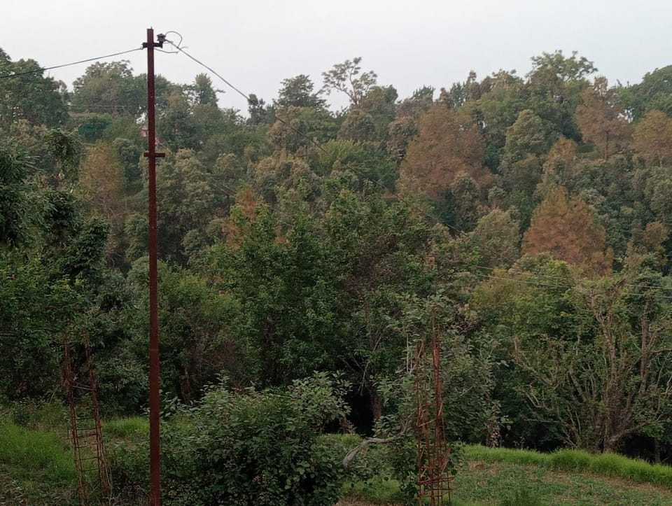 Bhaichara DEVBHUMI homestay Vacation rental in Uttarakhand