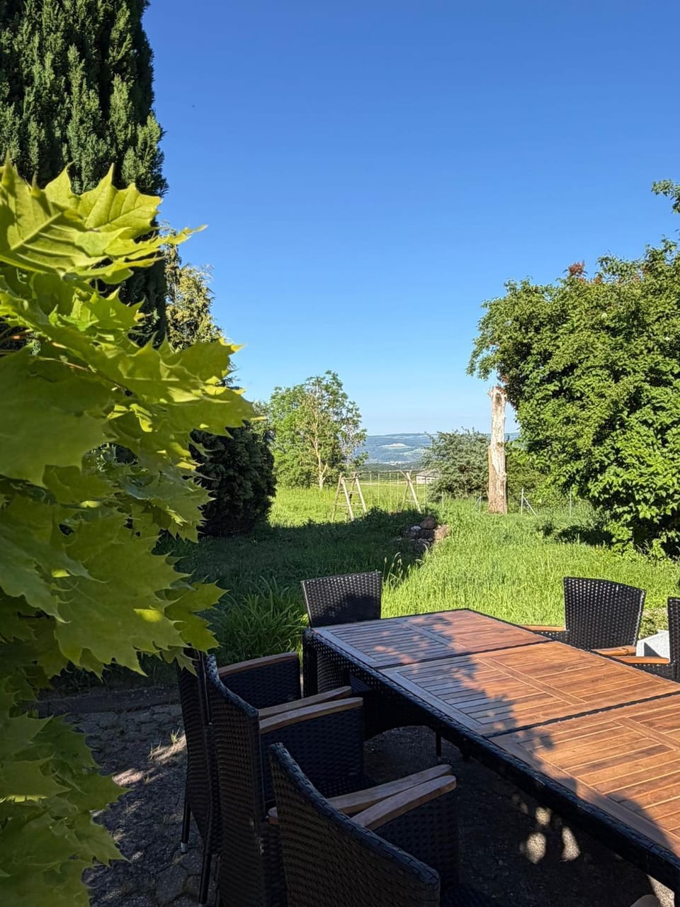 Garden view