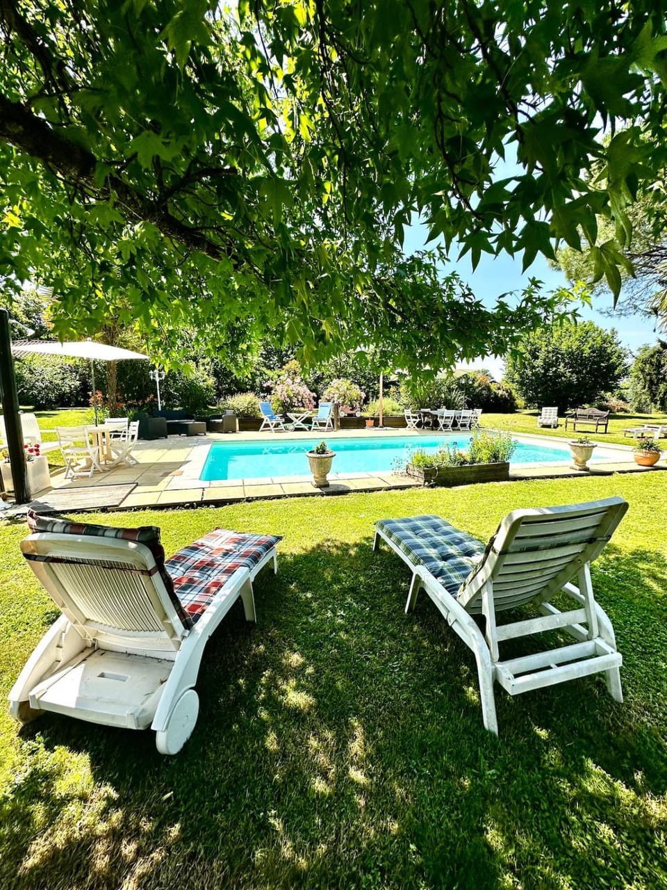 Garden, Swimming pool, Swimming pool