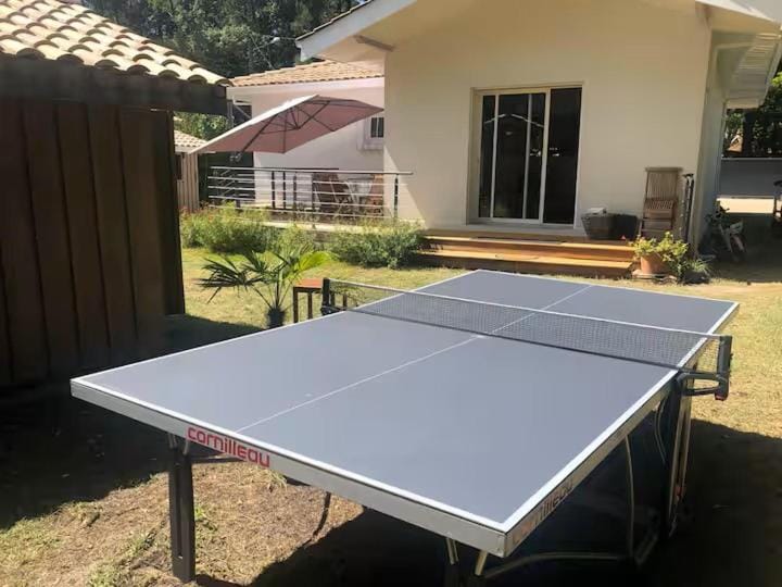 Table tennis, Table tennis