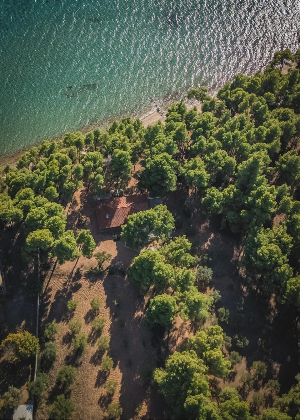 Squirrel Beach Front Villa, Metamorfosi House in Halkidiki
