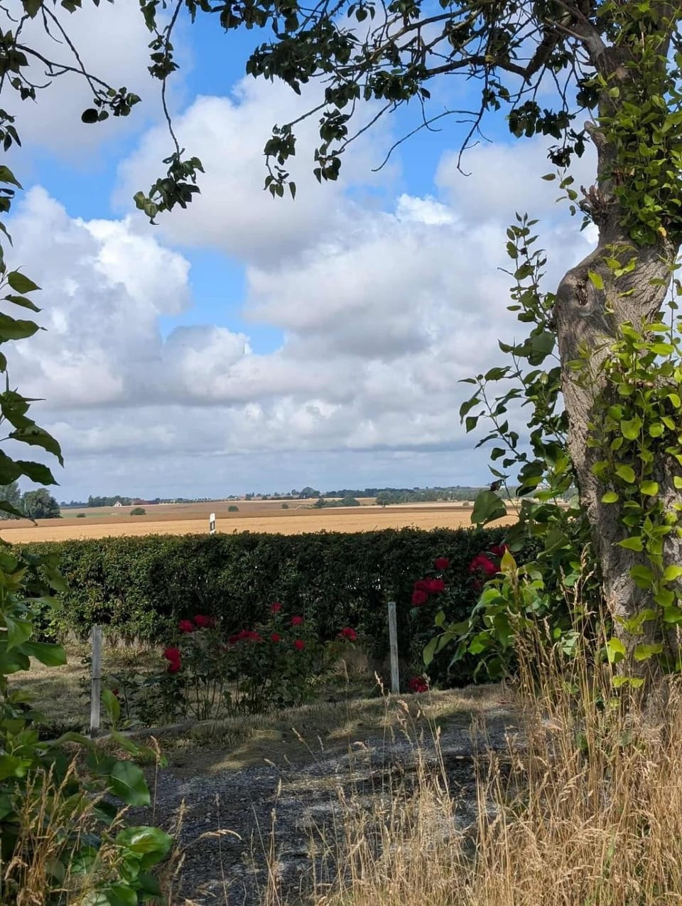 Natural landscape