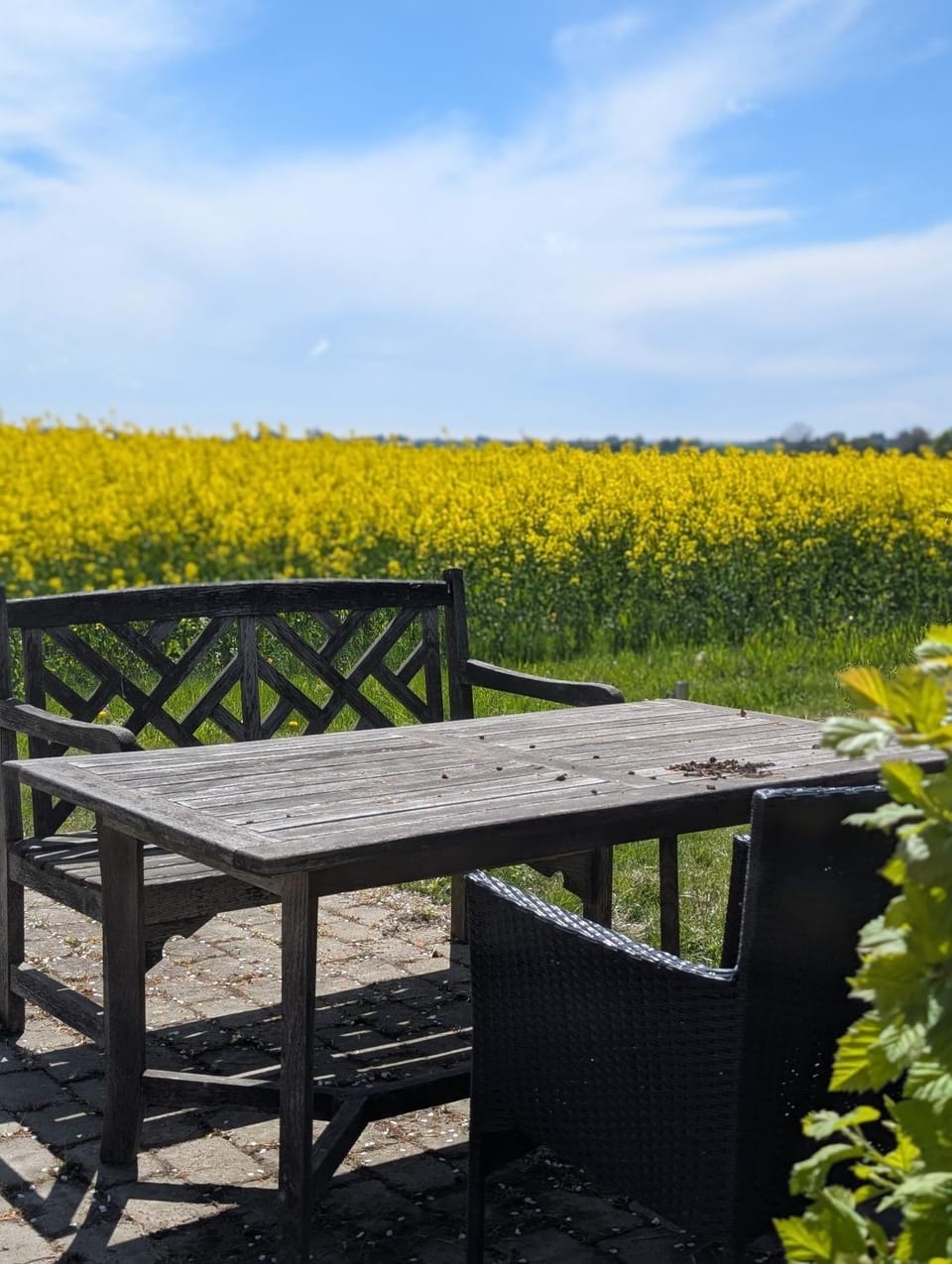Natural landscape, Dining area