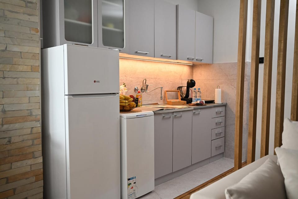 Ana Central Studio Apartment in Vojvodina