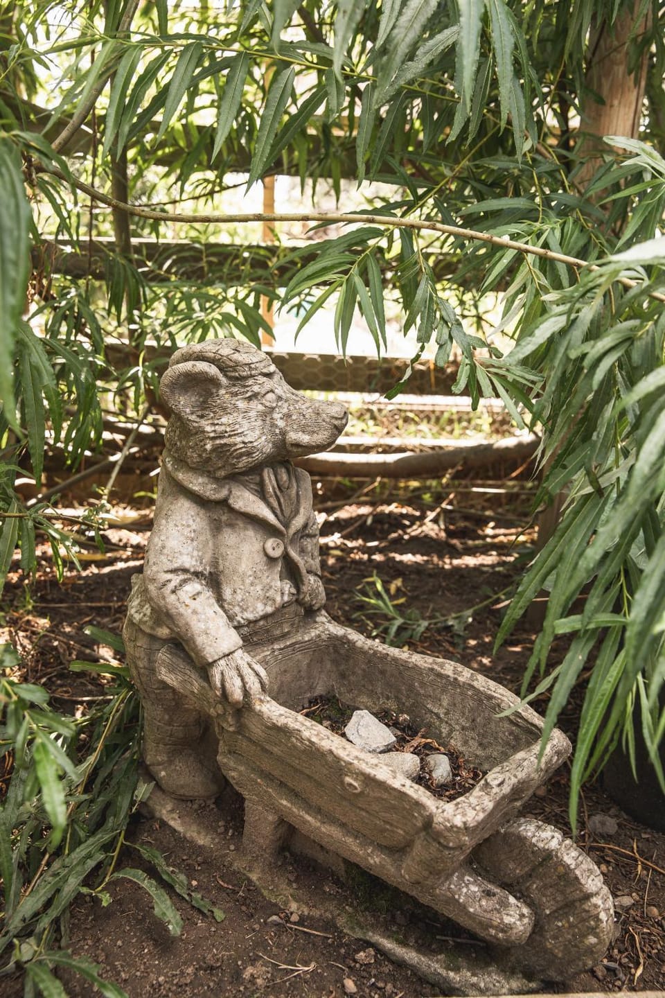 Garden view