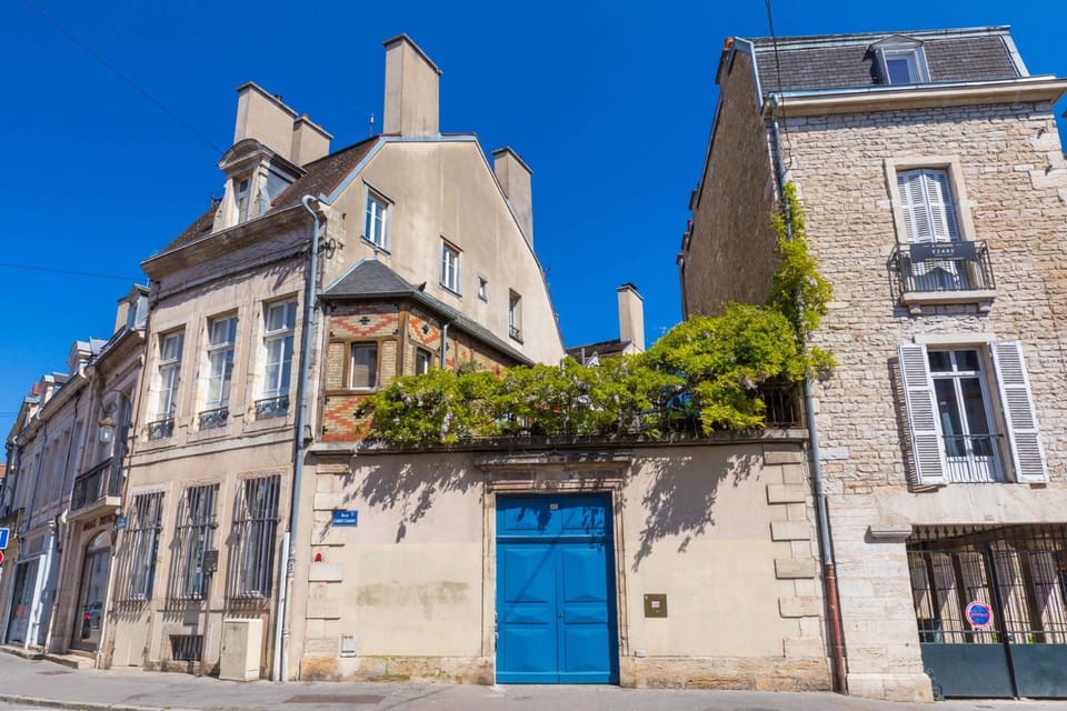 Sous la glycine au centre de Dijon Apartment in Dijon