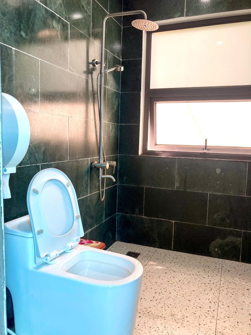 Shower, Toilet