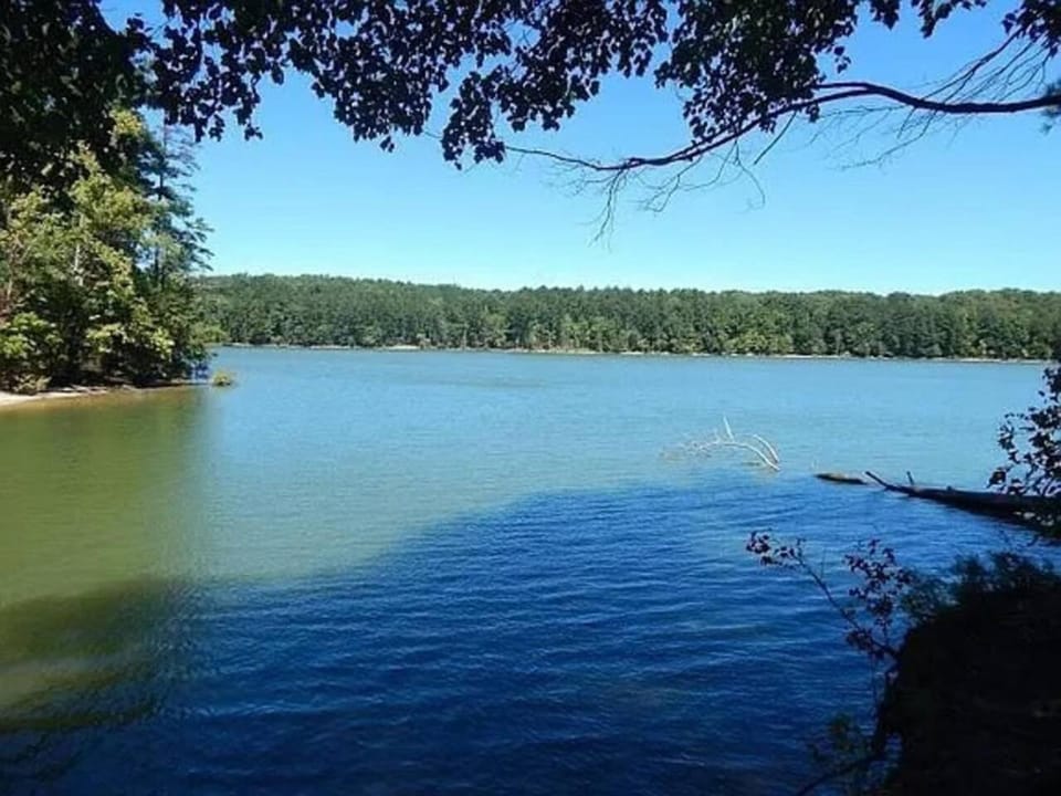 Natural landscape