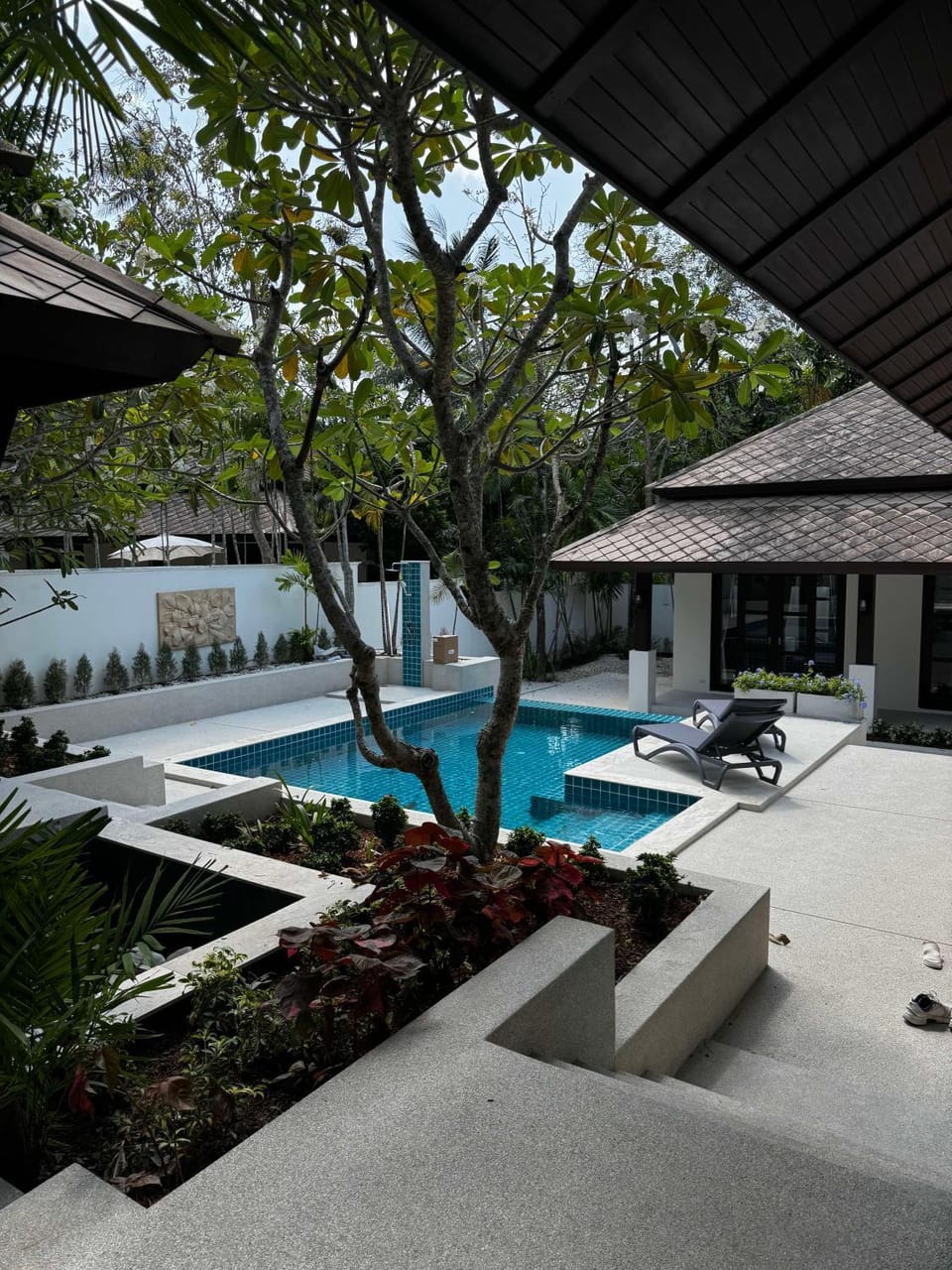 Garden, Garden view, Pool view, Swimming pool, Swimming pool, sunbed
