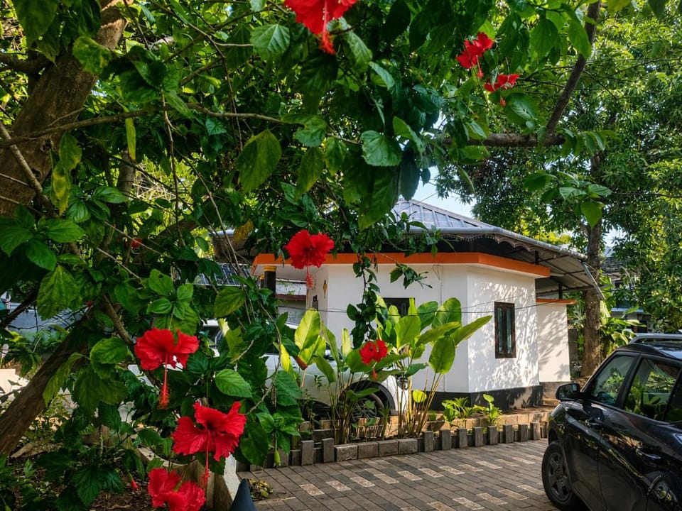 Garden, Garden