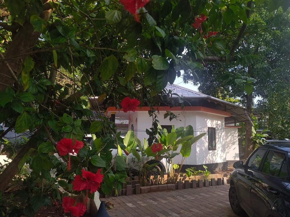 Property building, Garden, Garden, Garden view