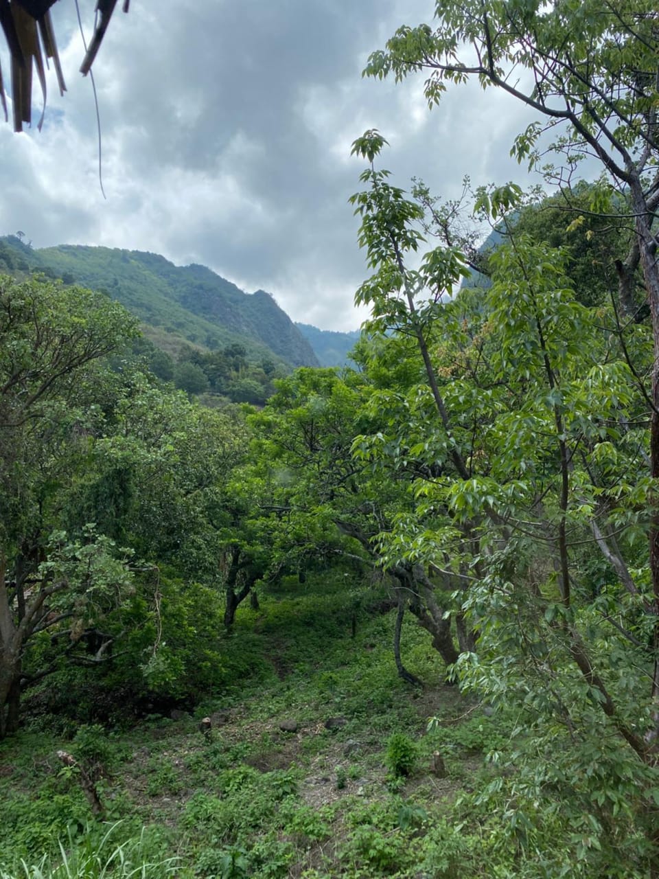 Mountain view
