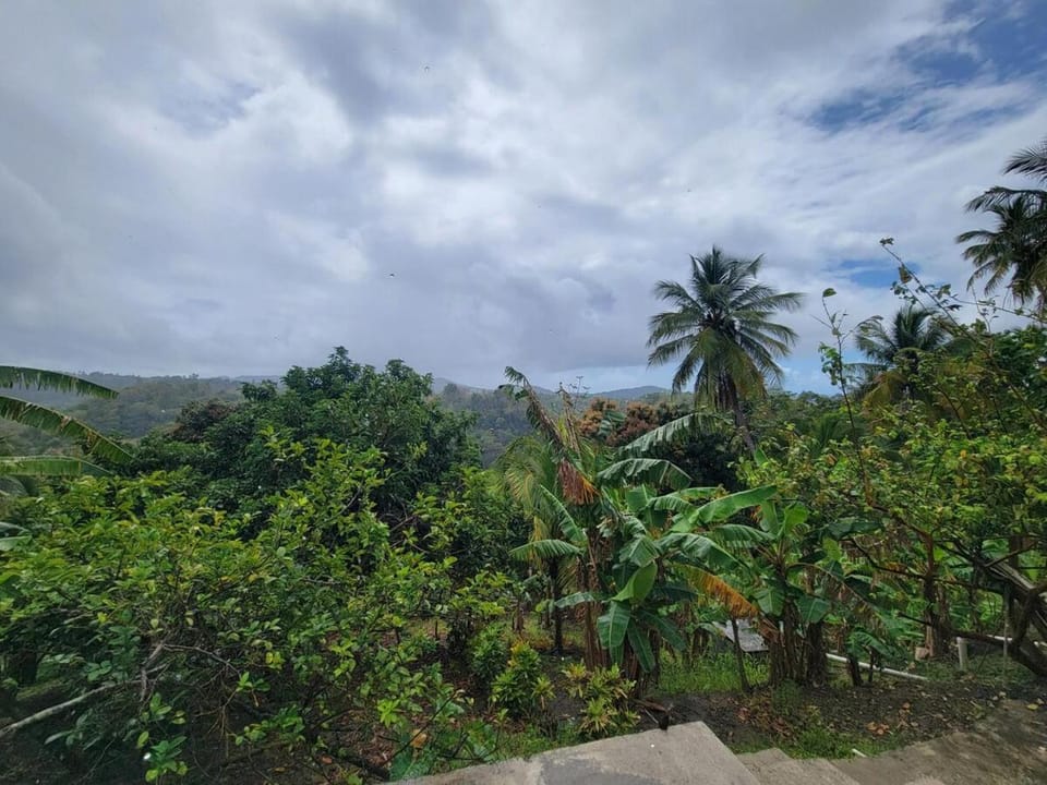 Cozy Hillside Stay At Cassie's Place Apartment in Caribbean