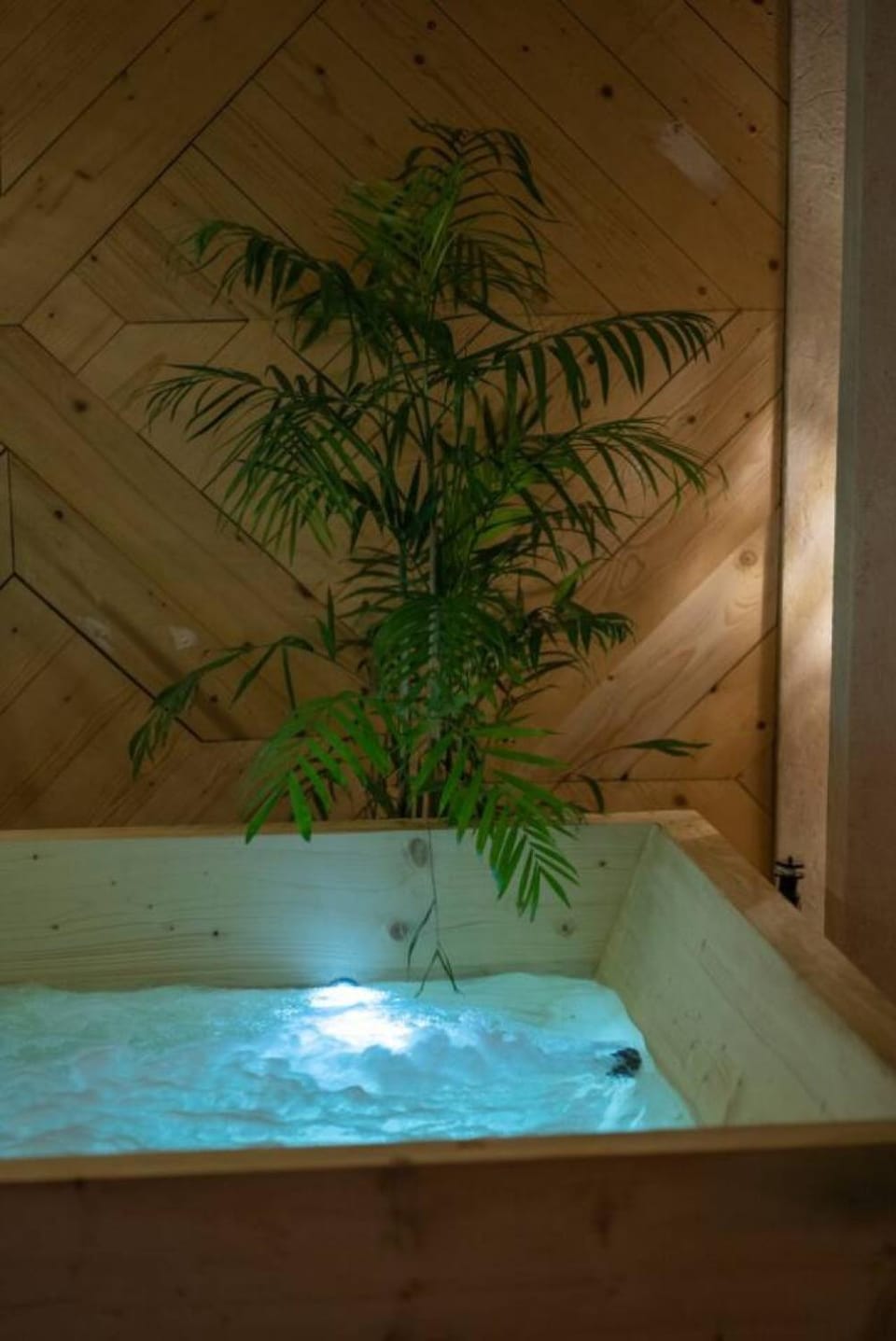 Ibiza Breeze With Jacuzzi Apartment in Africa
